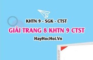 Giải KHTN 9 trang 8 Chân trời sáng tạo SGK